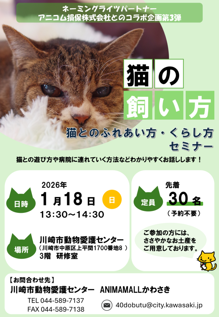 【ANIMAMALL】はじめてでも安心！「第3回 猫の飼い方セミナー」＆定期譲渡会開催【1/18】